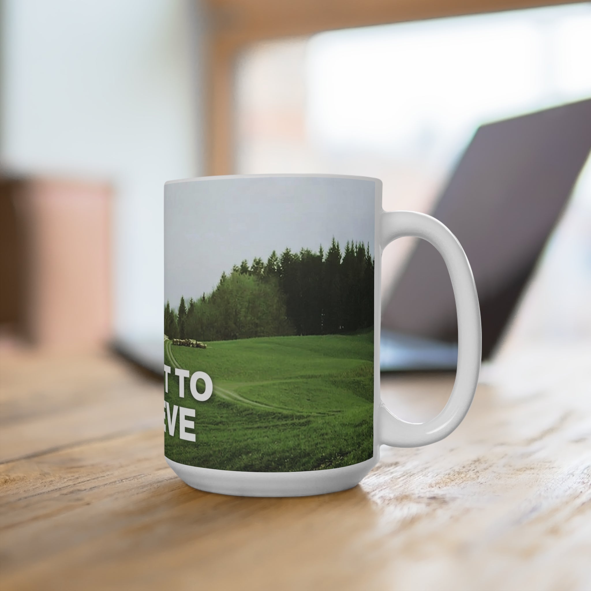 I Want To Believe UFO/UAP Mug 15oz
