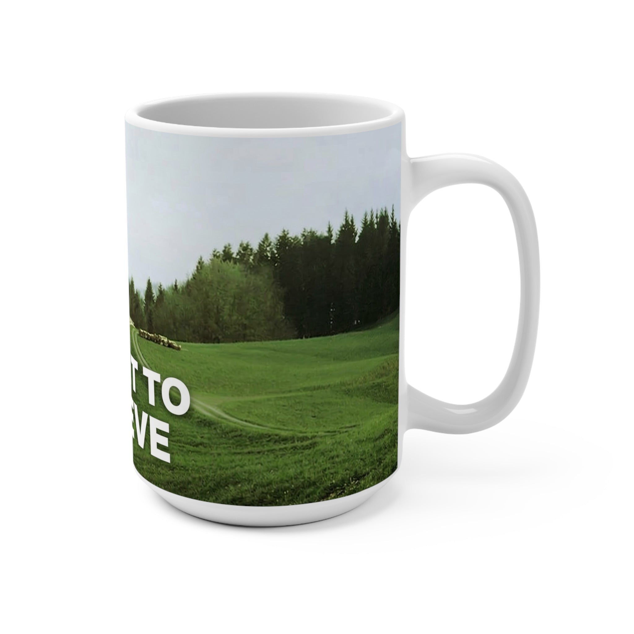 I Want To Believe UFO/UAP Mug 15oz