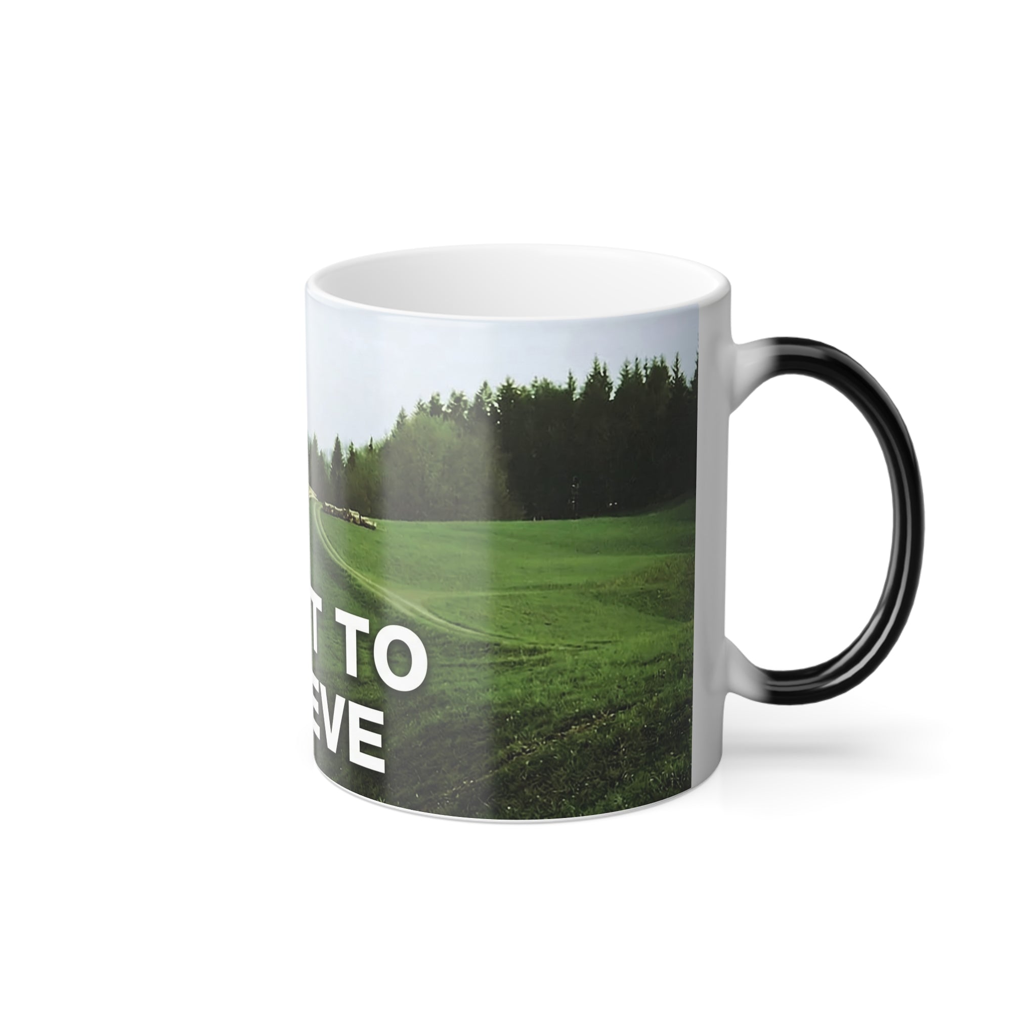 I Want To Believe UFO/UAP Color Morphing Mug, 11oz