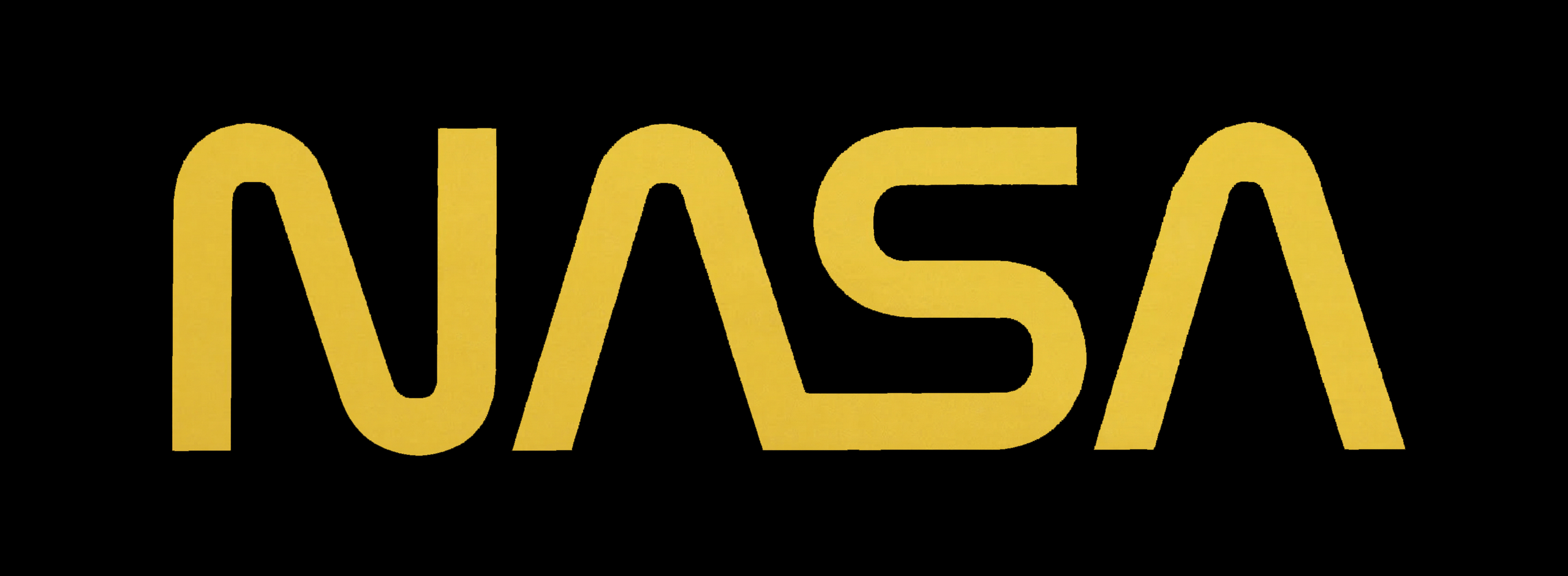 Black and Gold NASA Worm Logo Sticker